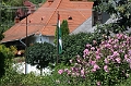 IMG_1517